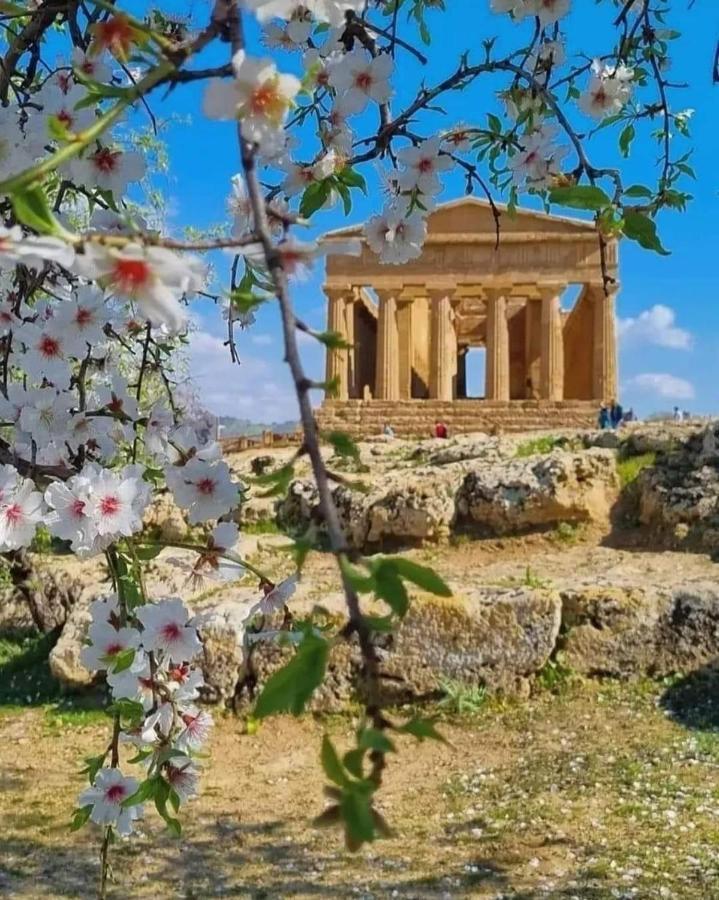 Casa Vacanza Rosariomaria Realmonte Dış mekan fotoğraf